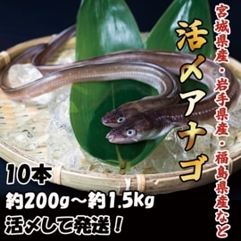 �衺���ʥ���10��