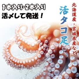 �西��­��1�������