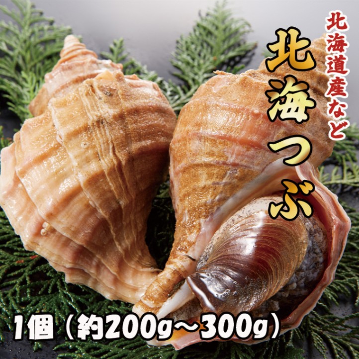 北海つぶ　1個