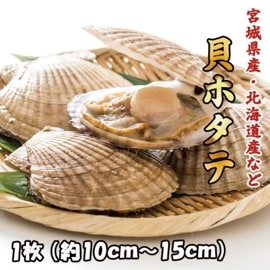 �ܿ� ���ۥ��ơ�1��