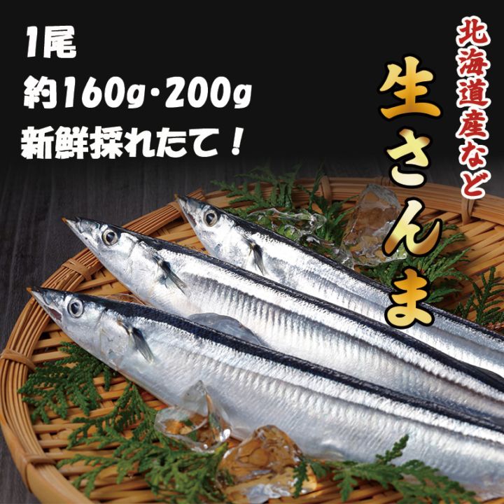 生さんま　1尾