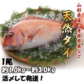 ŷ1