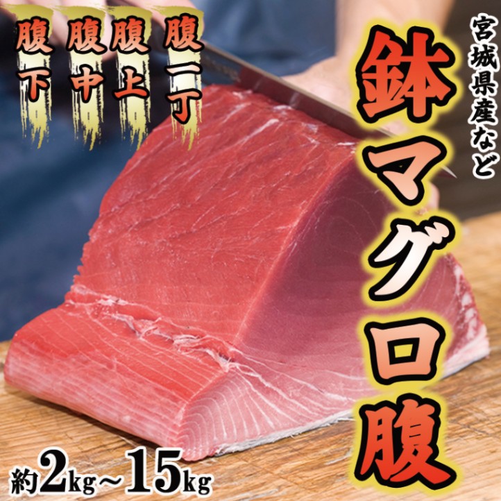 鉢マグロ（腹）　kg単位