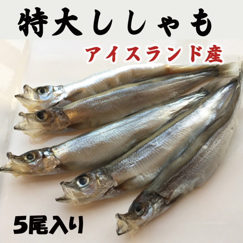特大ししゃも　１パック