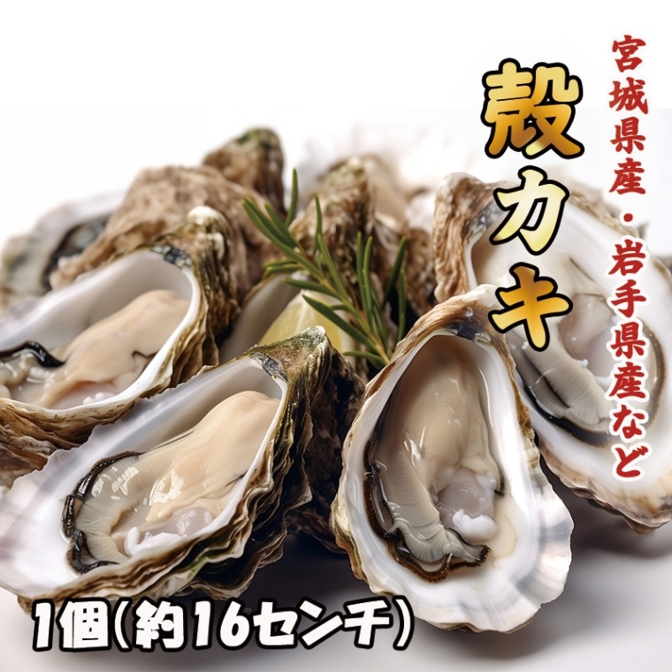 殻カキ　1個