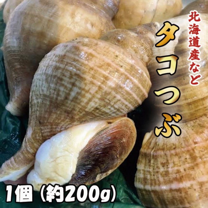 タコつぶ　1個