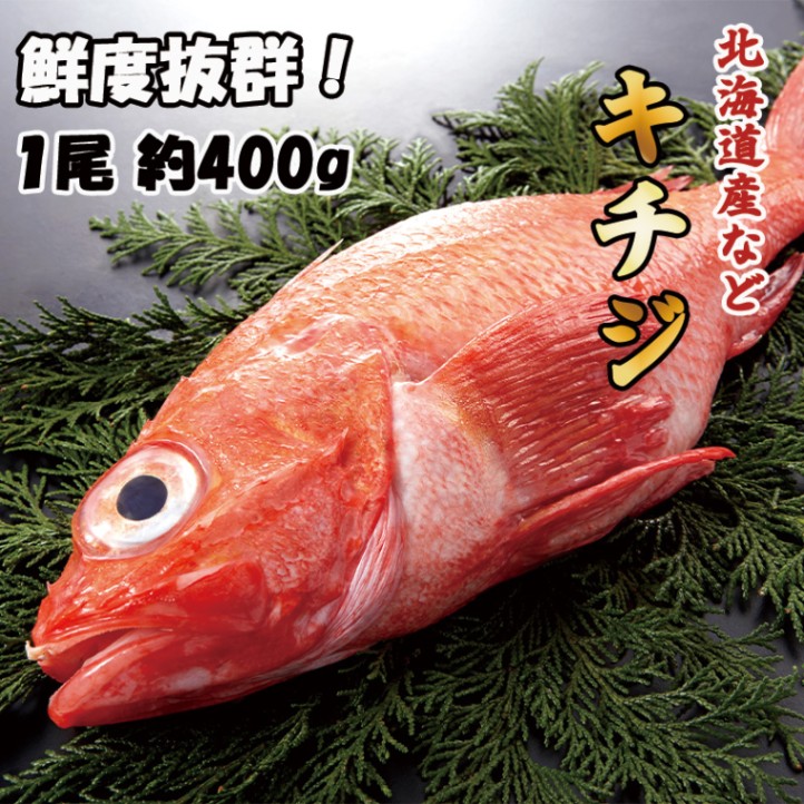 キチジ　1尾