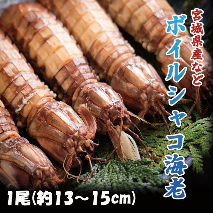 ボイルシャコ海老　１尾
