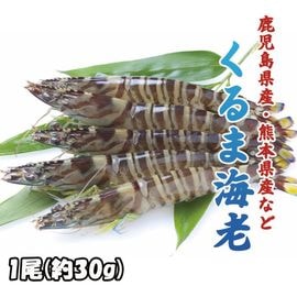 ����޳�Ϸ��1��