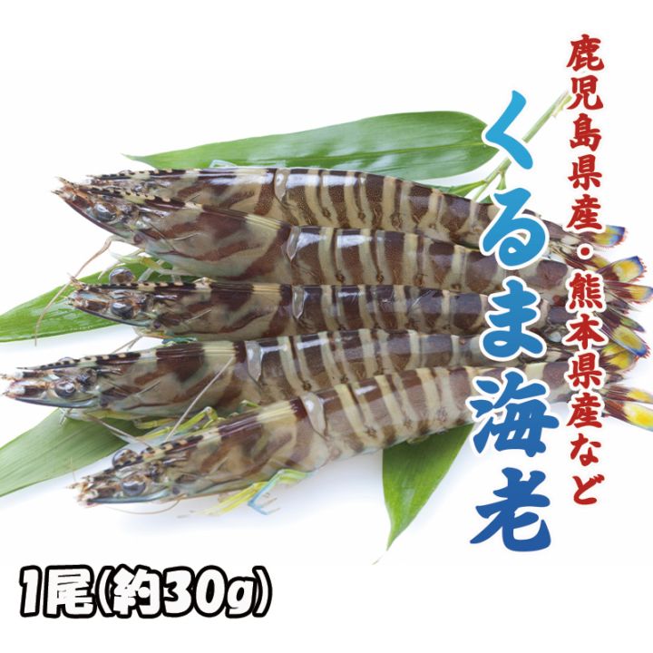 くるま海老　500g入り