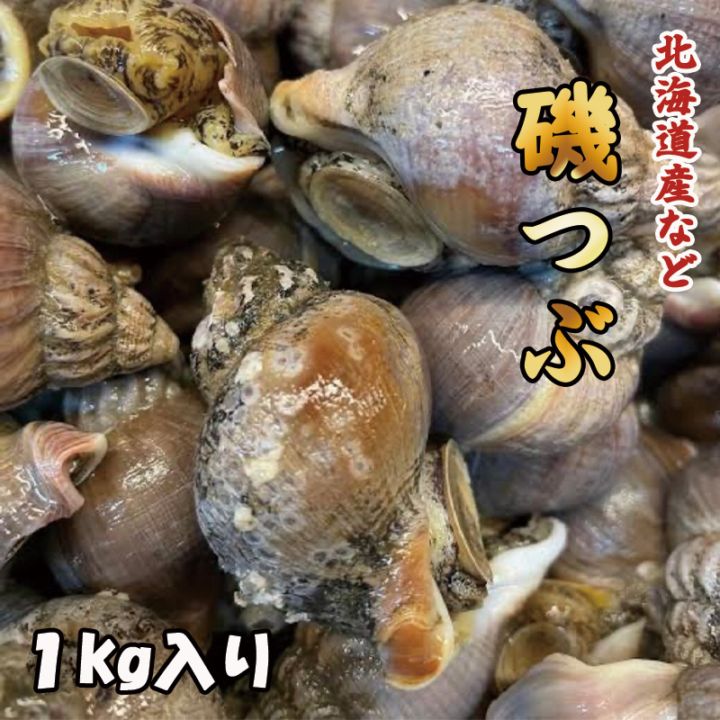 磯つぶ　１kg