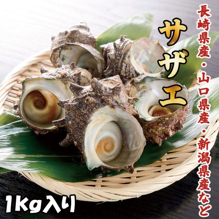 サザエ　１kg