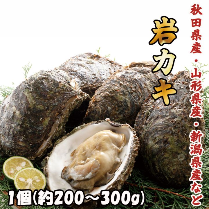 岩カキ　1個