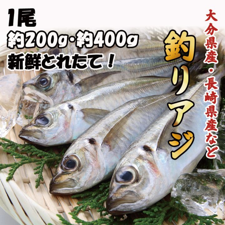 釣りアジ　1尾