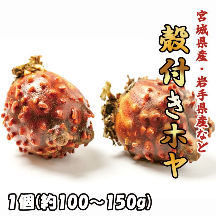 殻付きホヤ　1個