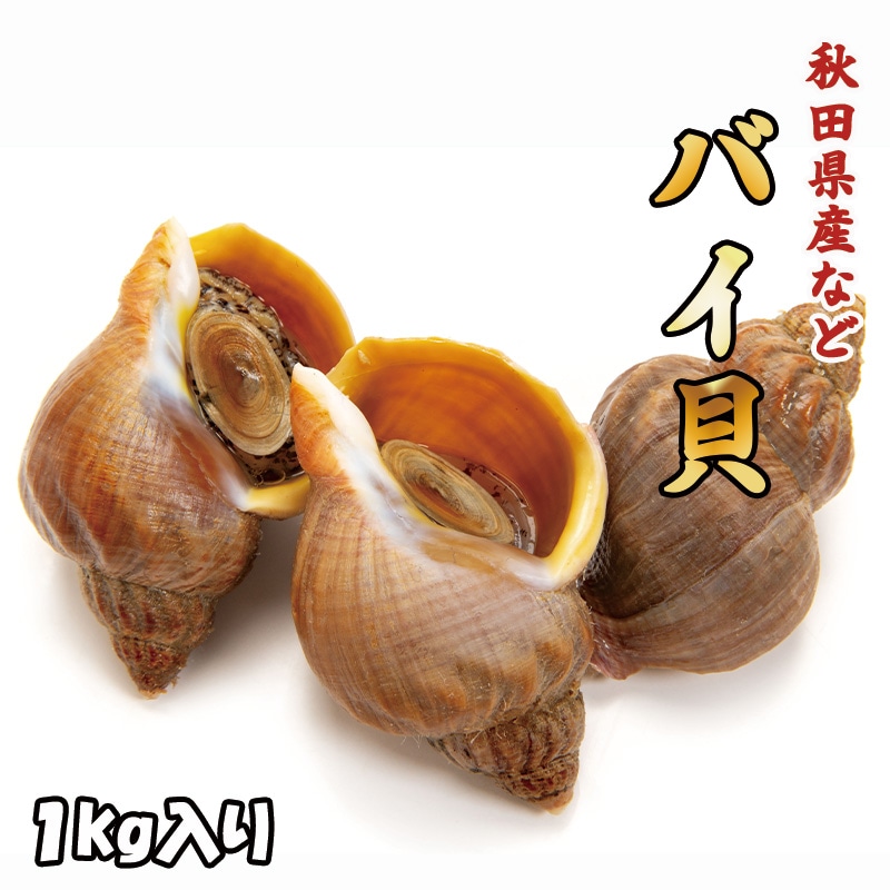 バイ貝　1kg