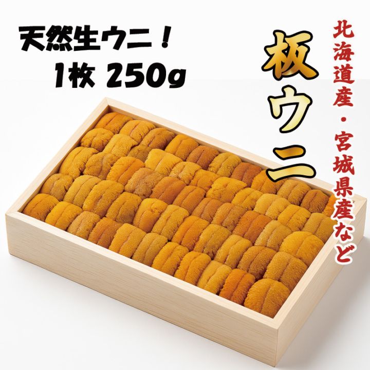 板ウニ 1枚 | ウニ | さかなやマルカ
