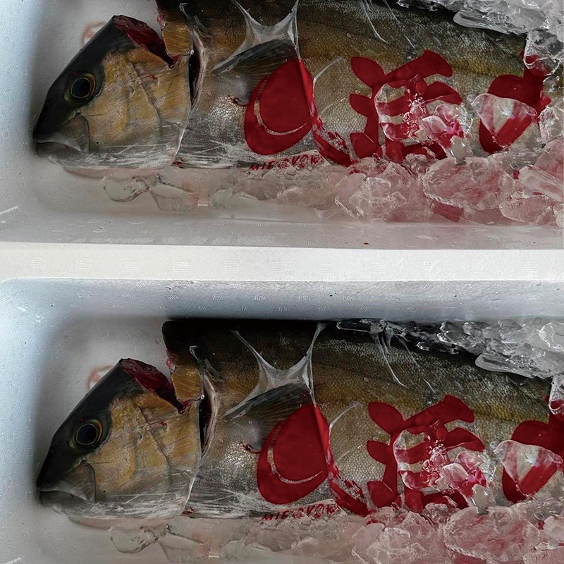 �ܿ� �衺����ѥ���1��