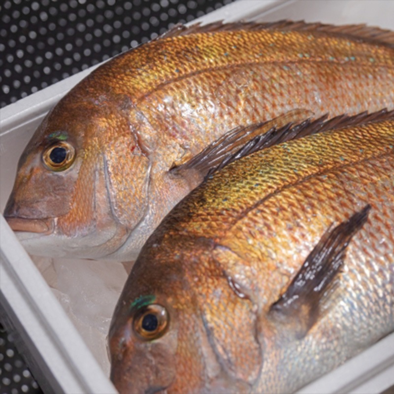 �ܿ�������1��