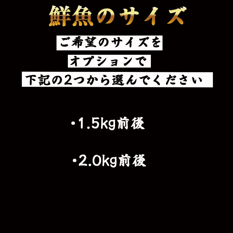 �ܿ�������1��