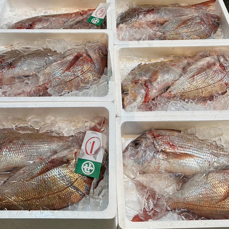 �͡�ŷ��������1��