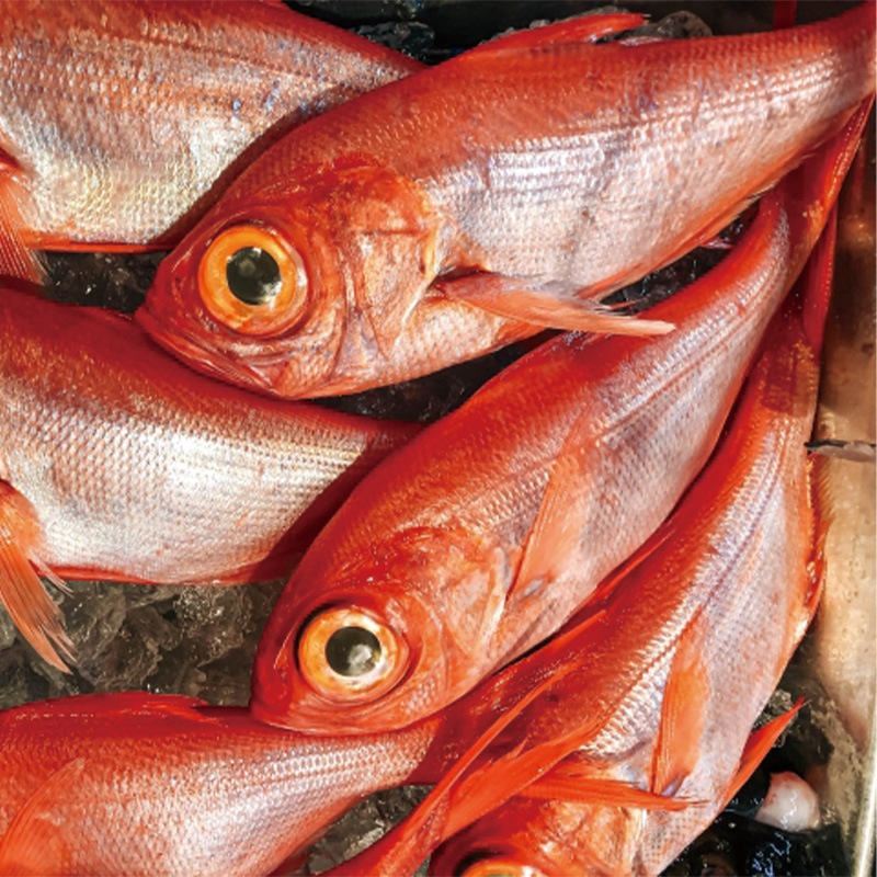 �����䡡1��