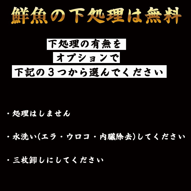 �����䡡1��