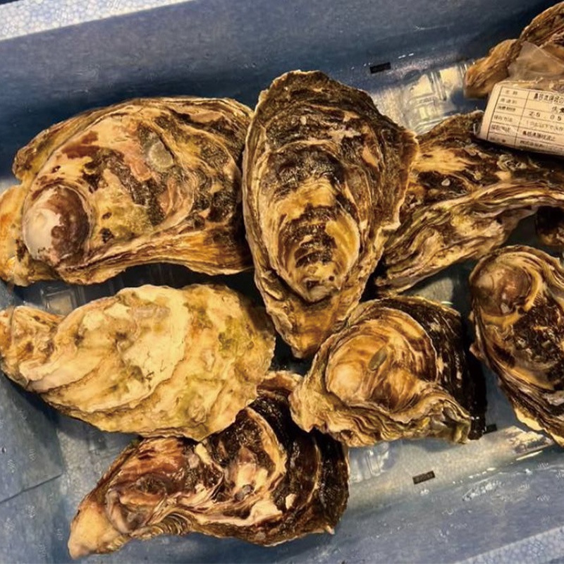 �䥫����1��