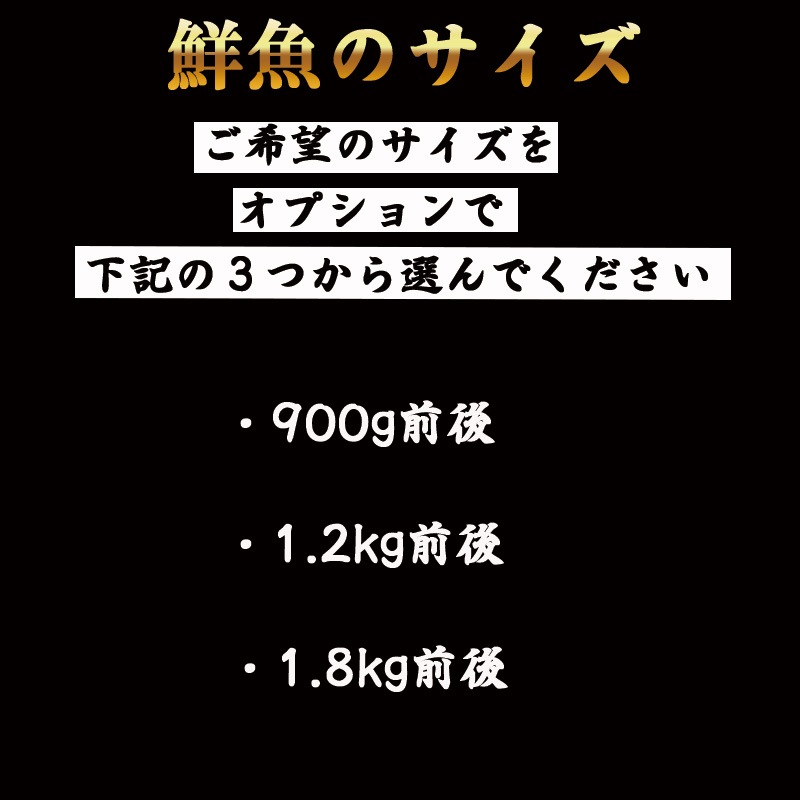 ��ޥ����쥤��1��