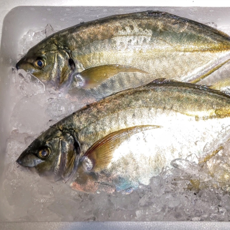 �ܿ����ޥ�����1��