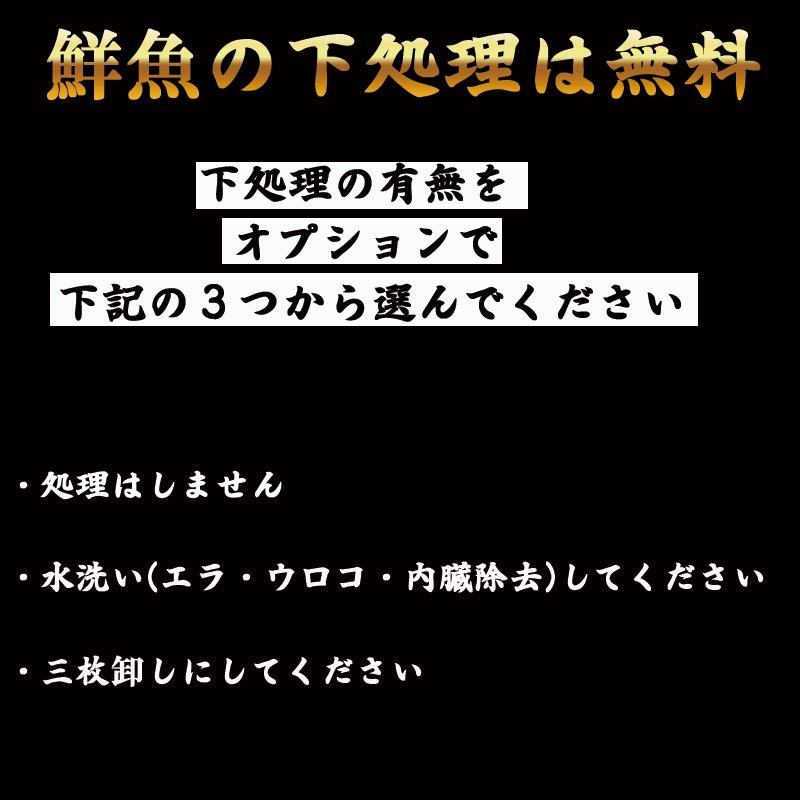 �ܿ����ޥ�����1��