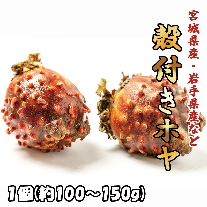 ���դ��ۥ䡡1��