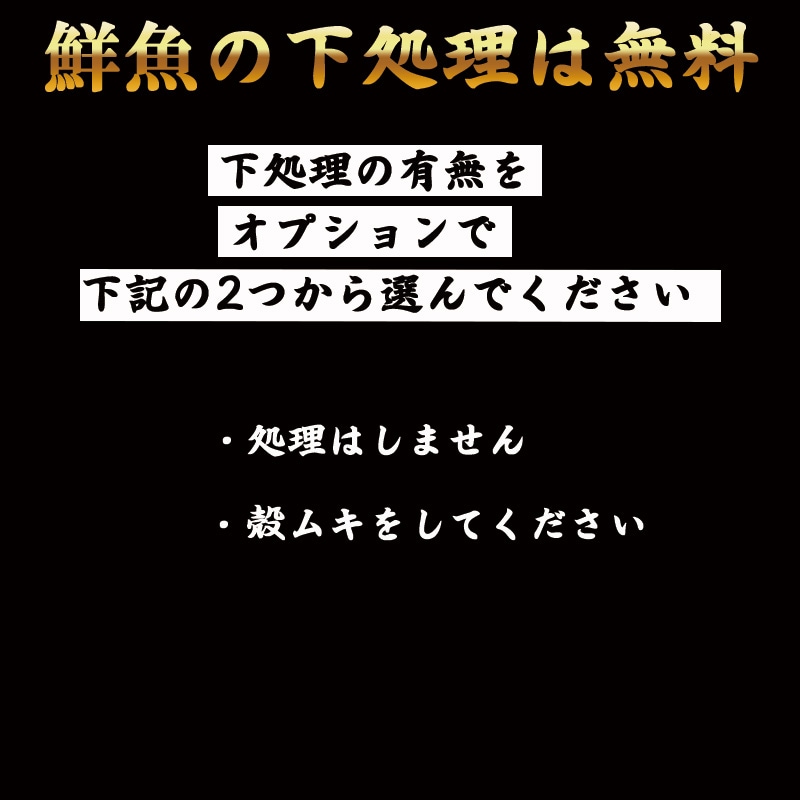 ���դ��ۥ䡡1��