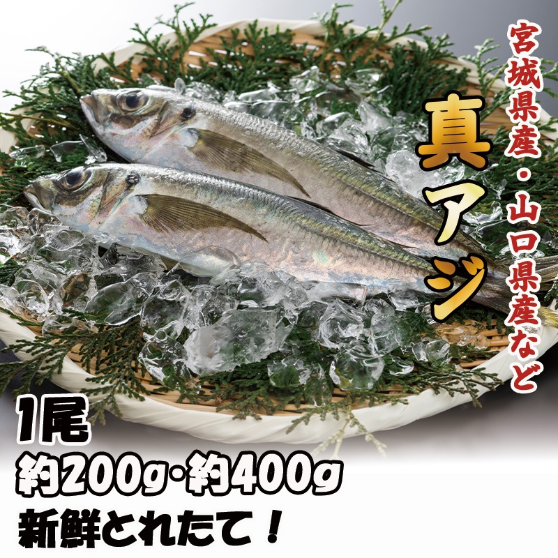 ��������1��