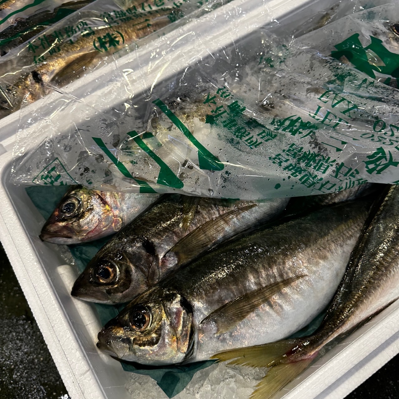 ��������1��