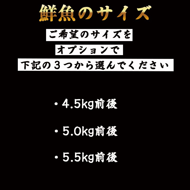 �ܿ��֥ꡡ1��