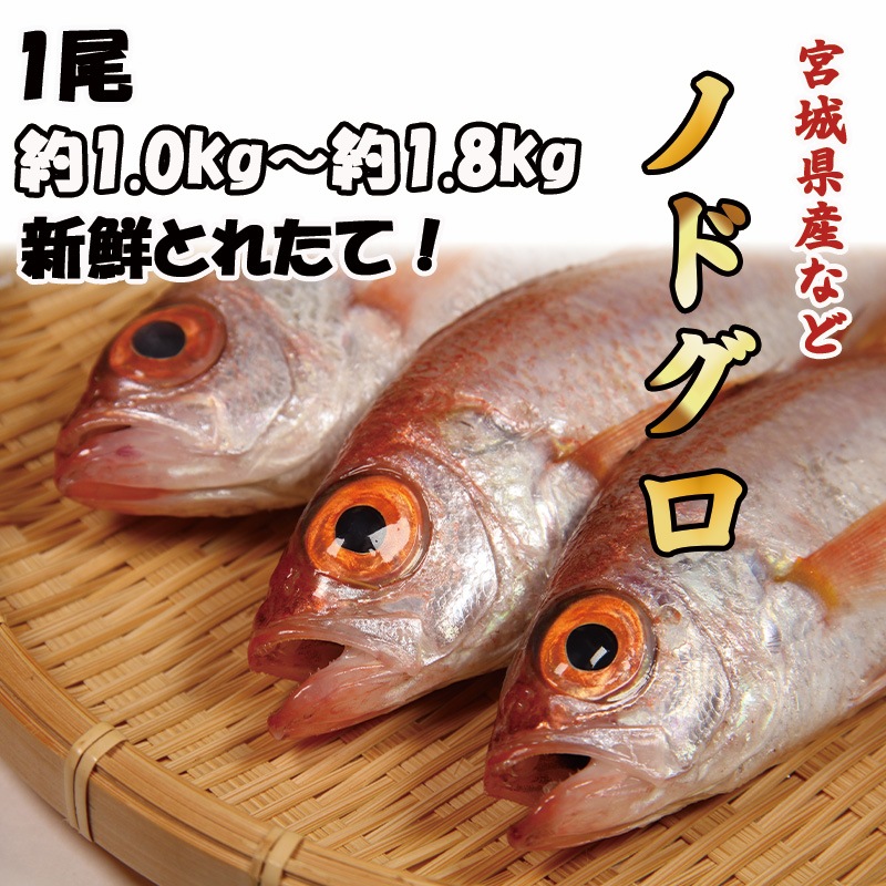 �Υɥ�����1��