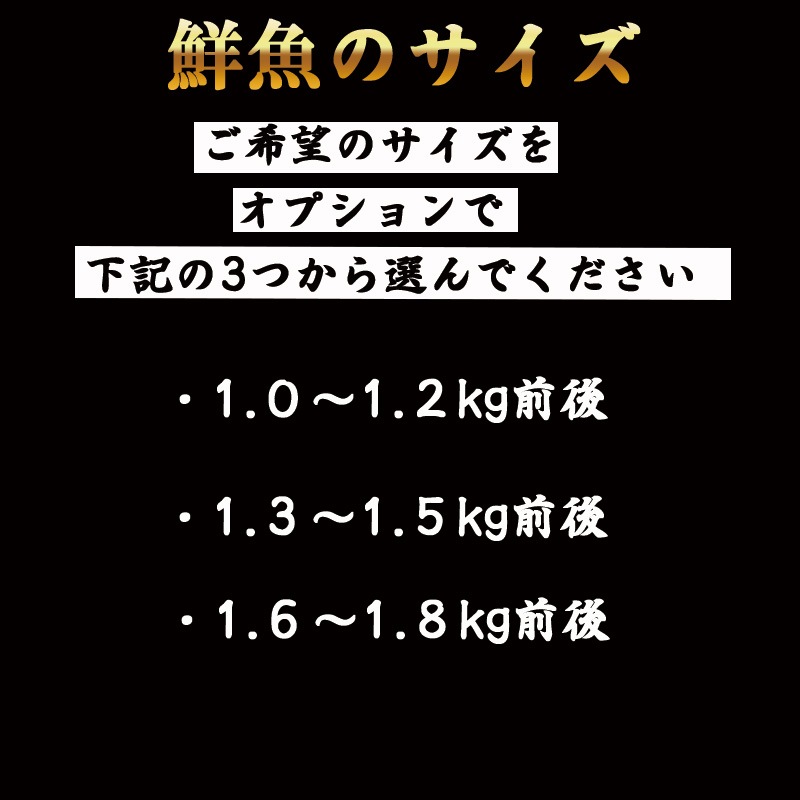 �Υɥ�����1��