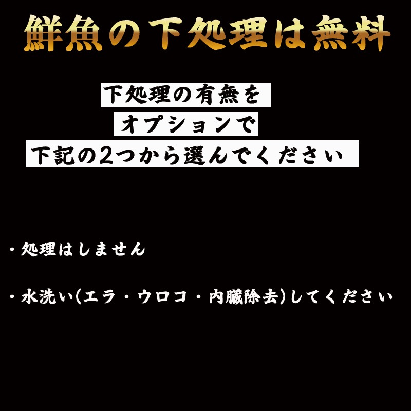 �Υɥ�����1��