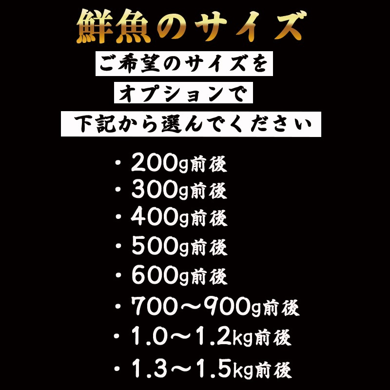 �衺���ʥ���10��