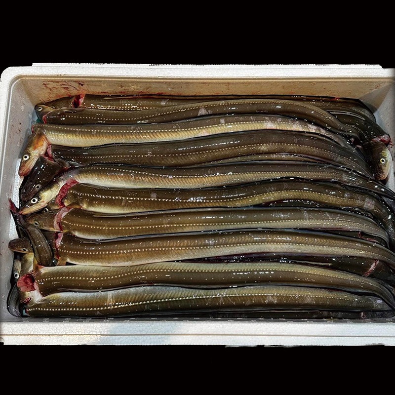 �衺���ʥ���10��