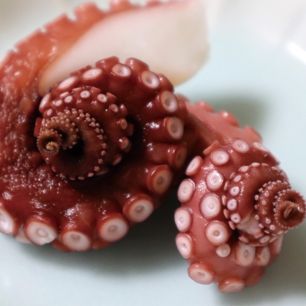 �ܥ��륿��­��1��