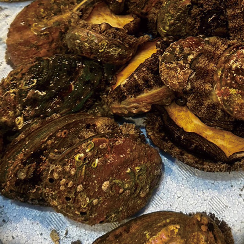 ŷ������ӡ�1��