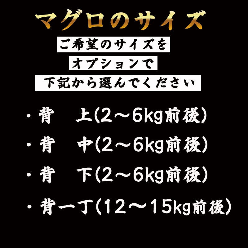 �ڹ񻺡��ܥޥ������ءˡ�kgñ�̡�