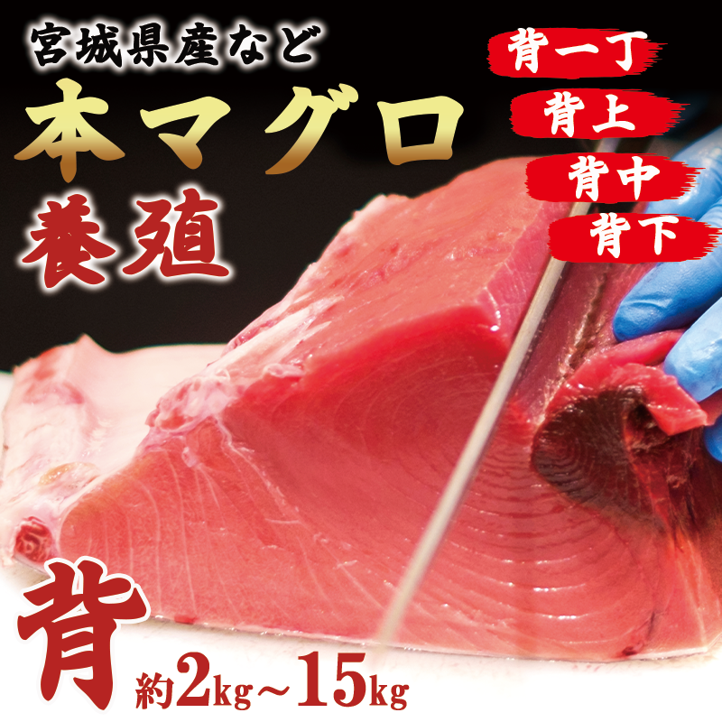 ���ܿ����ܥޥ������ءˡ�kgñ��