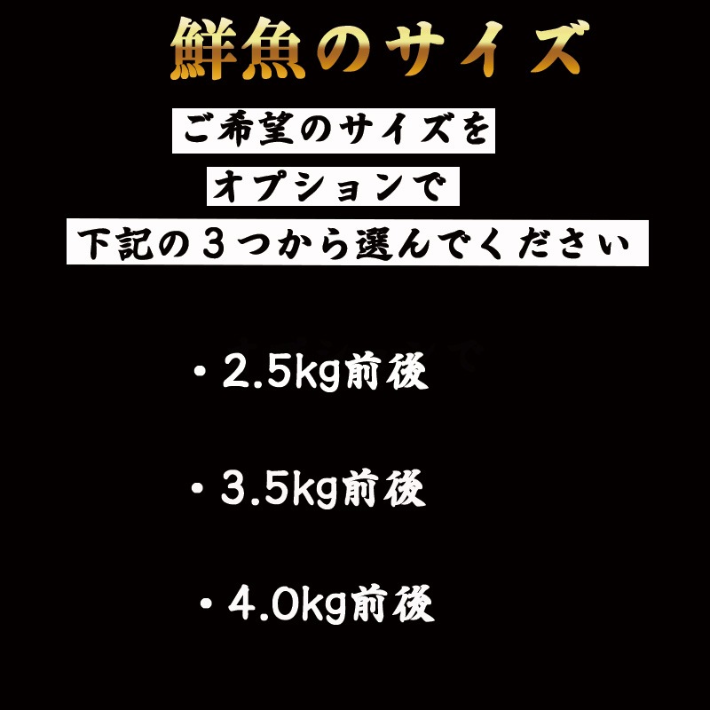 �ܿ� �衺����ѥ���Ⱦ��