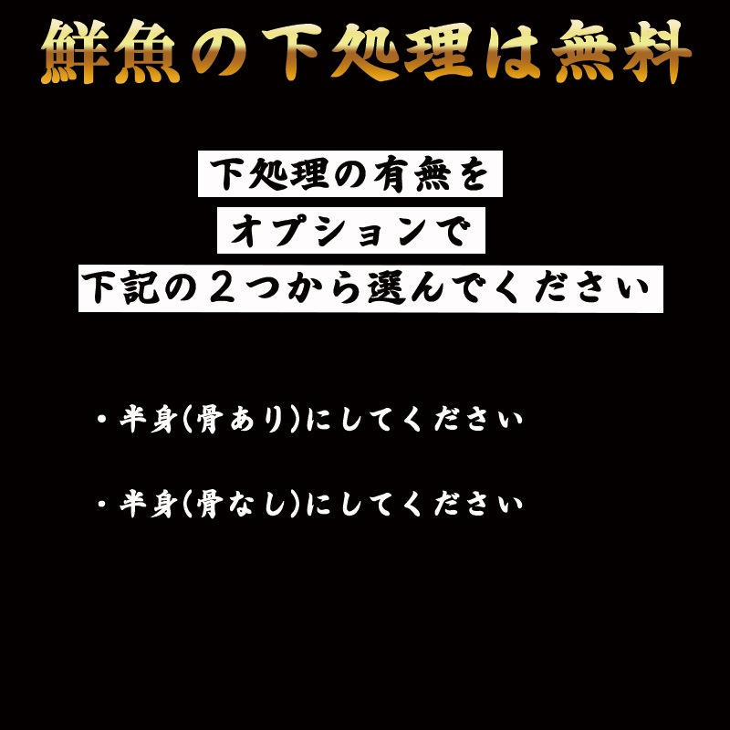 �ܿ��֥ꡡȾ��