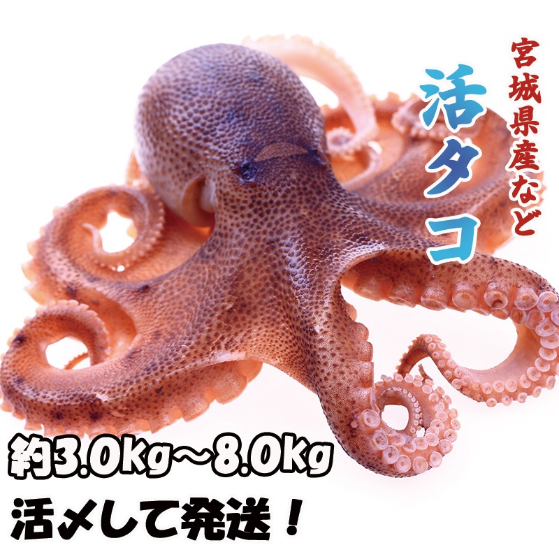 �西����1��