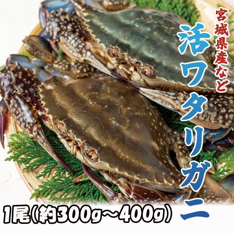 4_000000000083.jpg?1748243845