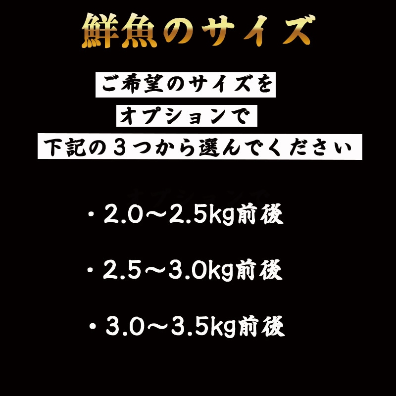 ��ŷ���ȥ�ե�������